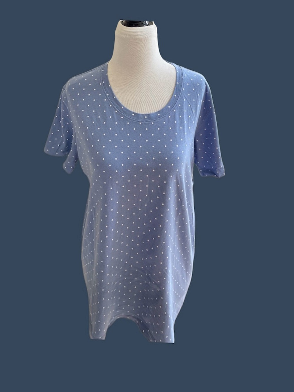 ECOTHREADS~Women’s Dressy T-Shirt Size XL Light Blue Fitted Organic Cotton